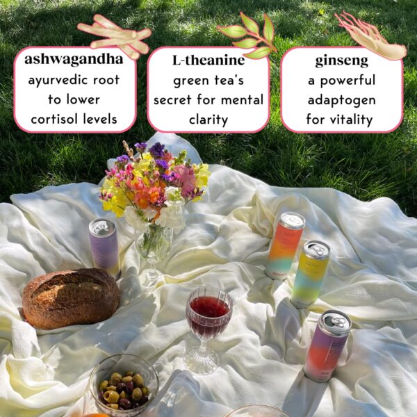 Moment Adaptogen Drink (Shark Tank) - SPARKLING Combo | Cherry Hibiscus, Lychee Mint, Plum Ginseng | L-Theanine & Ashwagandha for Calm & Clarity | 0 Added Sugar, 0 Caffeine, 0 Alcohol | 12-pack - Image 4